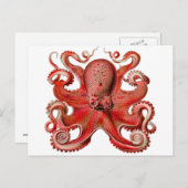 Het Rood van de Octopus van Haeckel Briefkaart (Voorkant / Achterkant)