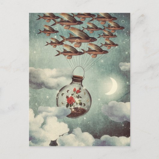 Het Roos dat naar de wereld keek Briefkaart (Voorkant)