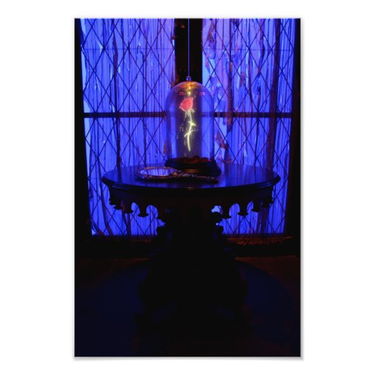 Het Roos Foto Afdruk (Voorkant)