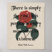 Het Roos Poster (Voorkant)