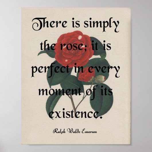 Het Roos Poster (Voorkant)