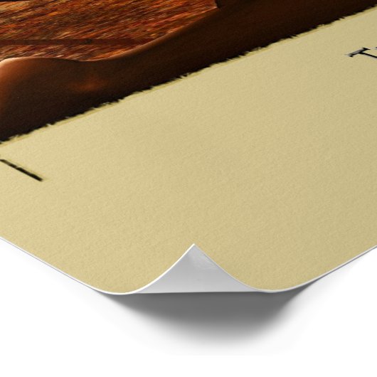 Het Roos Poster (Hoek)