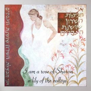 Het roos Sharon Poster