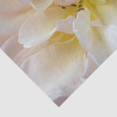 Het Roos Tissuepapier (Detail)