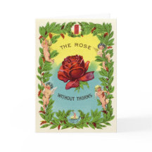  het Roos zonder doornen cherubs