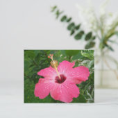 Het roze Briefkaart van de Hibiscus (Staand voorkant)