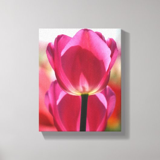 Het roze Canvas van de Tulp (Voorkant)