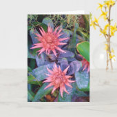 Het roze Exotische Wenskaart van het Plant van Kaart (Gele Bloem)