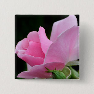 Het roze nam Bloem toe Vierkante Button 5,1 Cm