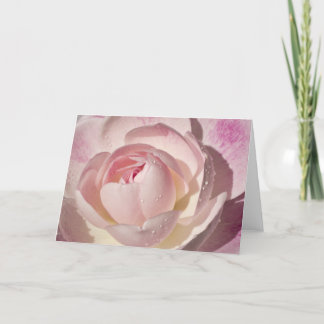 Het roze nam Leeg Wenskaart toe Kaart