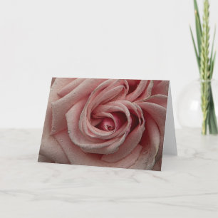 Het roze nam Wenskaart toe Kaart