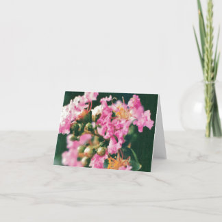 Het roze omfloerst het Wenskaart van de Mirte Kaart