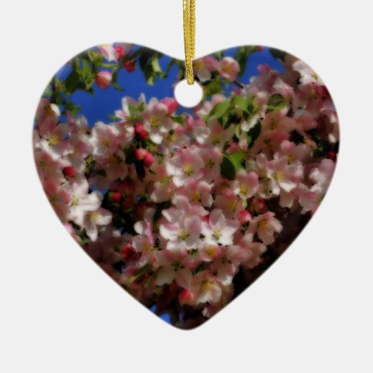 Het roze Ornament van de Bloem van de Bloesems van (Voorkant)