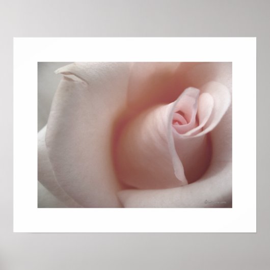 Het roze Poster (Voorkant)