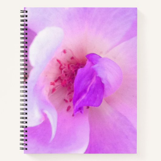 *~* Het Roze Roos van het Lavender Dagboek van de Notitieboek (Voorkant)