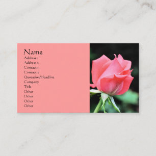 Het roze Rosebud Visitekaartje van de Fotografie