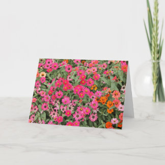 Het Roze van Riotious Kaart