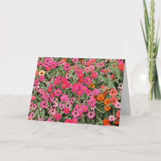 Het Roze van Riotious Kaart (Voorkant)