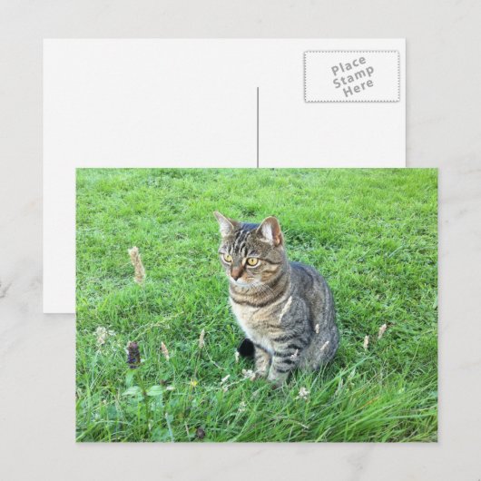 Het rubycotuesday-Briefkaart Briefkaart (Voorkant / Achterkant)