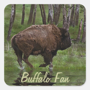 Het runnen van Buffalo & Bos, het Ontwerp van de b Vierkante Sticker