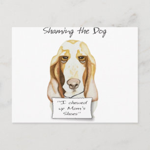 Het schamen van het Hondje van het Bactivum van de Briefkaart
