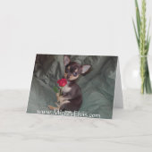 Het schattige Leuke Baby Vrolijke Chihuahua nam Kaart (Achterkant)