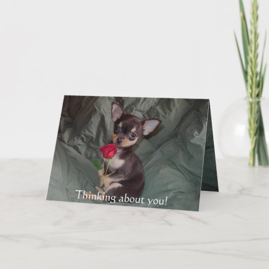 Het schattige Leuke Baby Vrolijke Chihuahua nam Kaart (Voorkant)