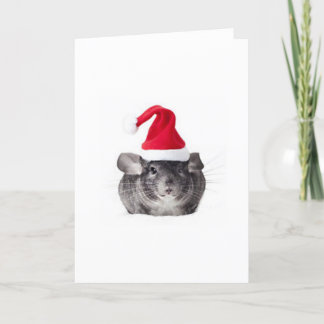 Het schattige Model van de Kerstman van de Feestdagen Kaart