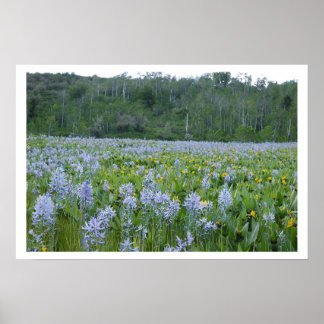 Het scherm schilderen poster