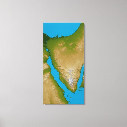 Het schiereiland Sinai Canvas Afdruk (Voorkant)