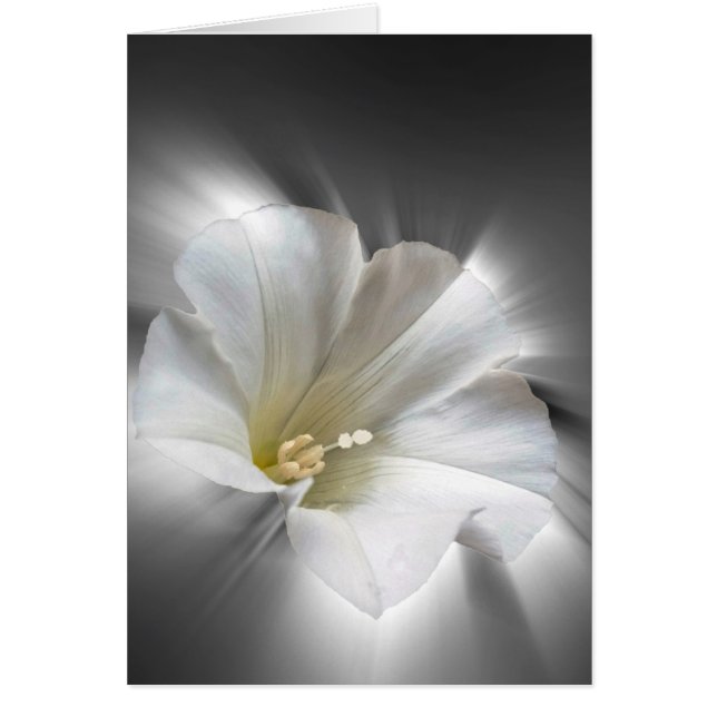 Het schijnen in het donker (Voorkant)