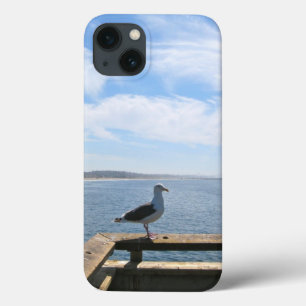 Het schilderachtig Hoesje van de Lucht van de