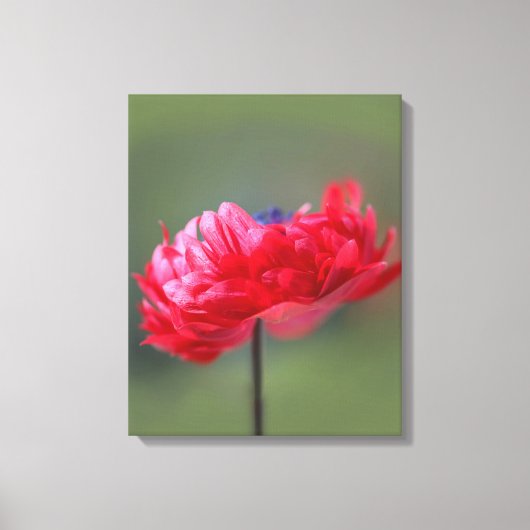 Het schildereffect van rode bloem sluit dicht canvas afdruk (Voorkant)
