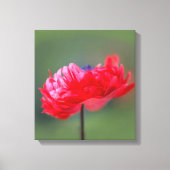 Het schildereffect van rode bloem sluit dicht canvas afdruk (Voorkant)