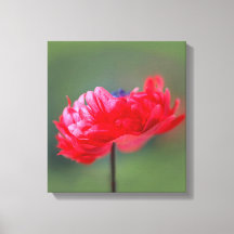 Het schildereffect van rode bloem sluit dicht