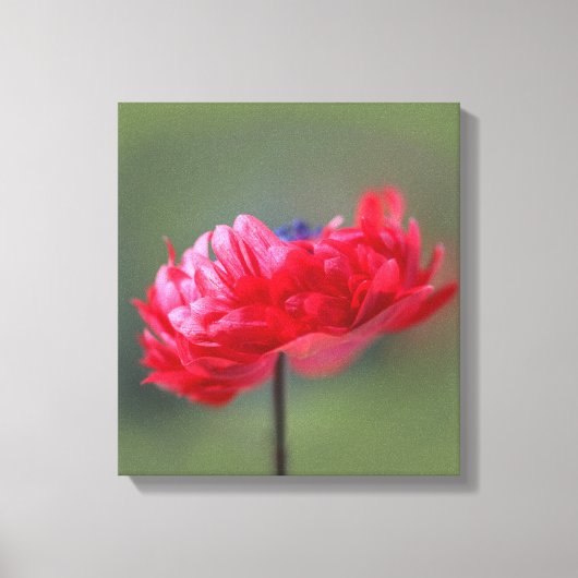 Het schildereffect van rode bloem sluit dicht canvas afdruk (Voorkant)