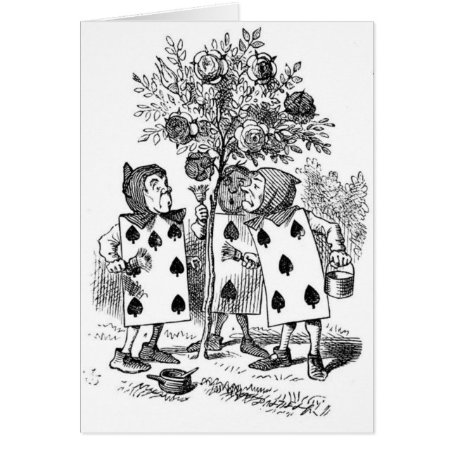 Het schilderen van de Rozen rood (Voorkant)