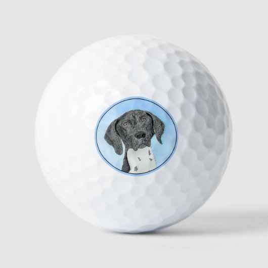 Het schilderen van de schilder van de Schilder van Golfballen (Voorkant)