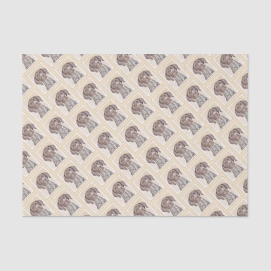 Het schilderen van de schilder van de Schilder van Tissuepapier (Voorkant)