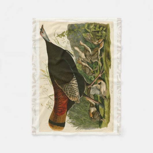 Het schilderen van vochtige vogels in Turkije Fleece Deken (Voorkant)