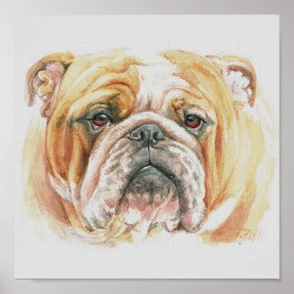 Het schilderij van de Waterverf van het Bulldog-ge Poster