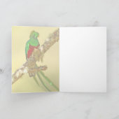 Het schitterende mannetje van Quetzal Kaart (Binnen)