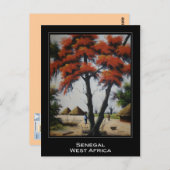 Het Senegalese Briefkaart van de Kunst (Voorkant / Achterkant)
