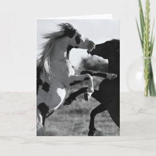 Het "Shaman"-Wenskaart Kaart