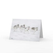 Het Siberische Rennende Team van de Schor Hond van