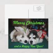 Het Siberische Schor Briefkaart van het Puppy (Voorkant / Achterkant)