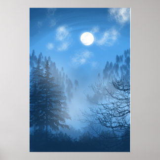 Het Silent Canopy Poster