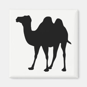 Het Silhouet van de kameel Magneet