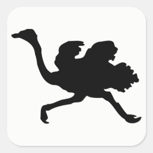 Het Silhouet van de struisvogel Vierkante Sticker