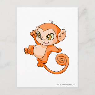 Het Sinaasappel van Mynci Briefkaart